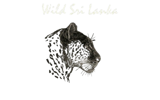 Wild Sri Lanka Logo