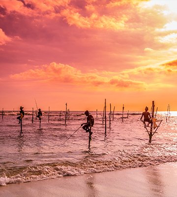 Coastal Mangroves
