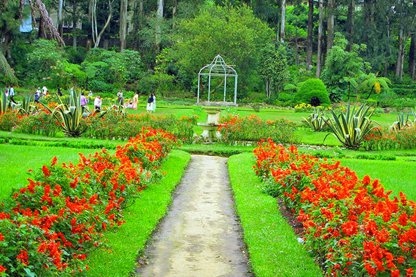 Hakgala Garden