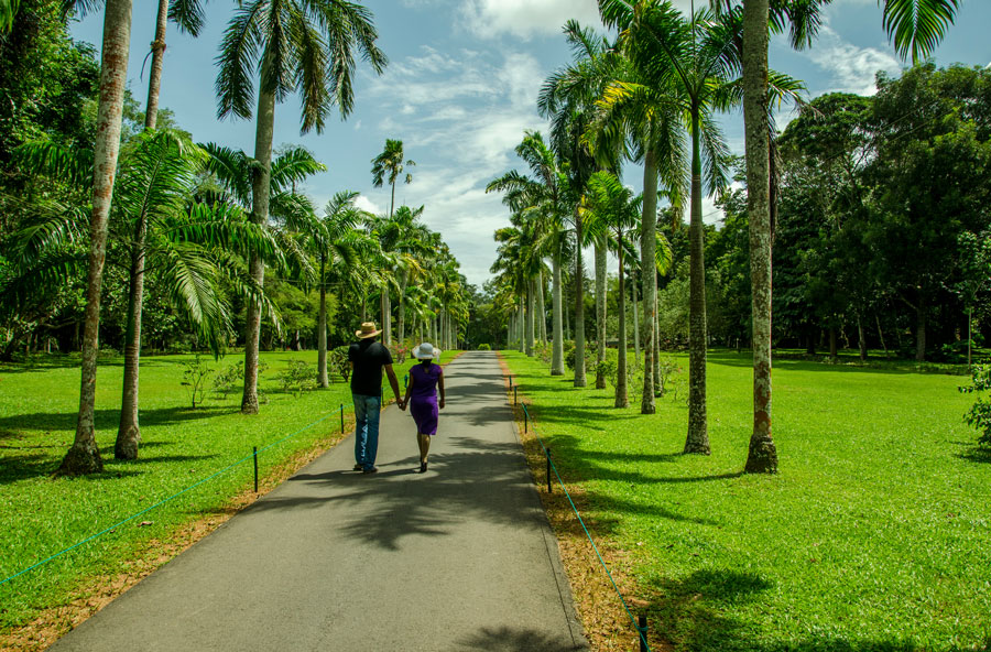 Henarathgoda Garden