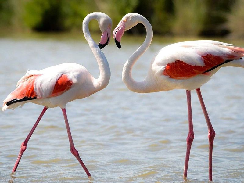 Chundikulam National Park