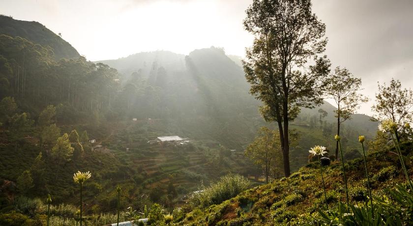 Hakgala Strict Nature Reserve
