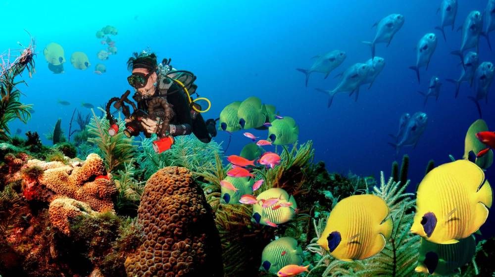 Hikkaduwa Marine Park