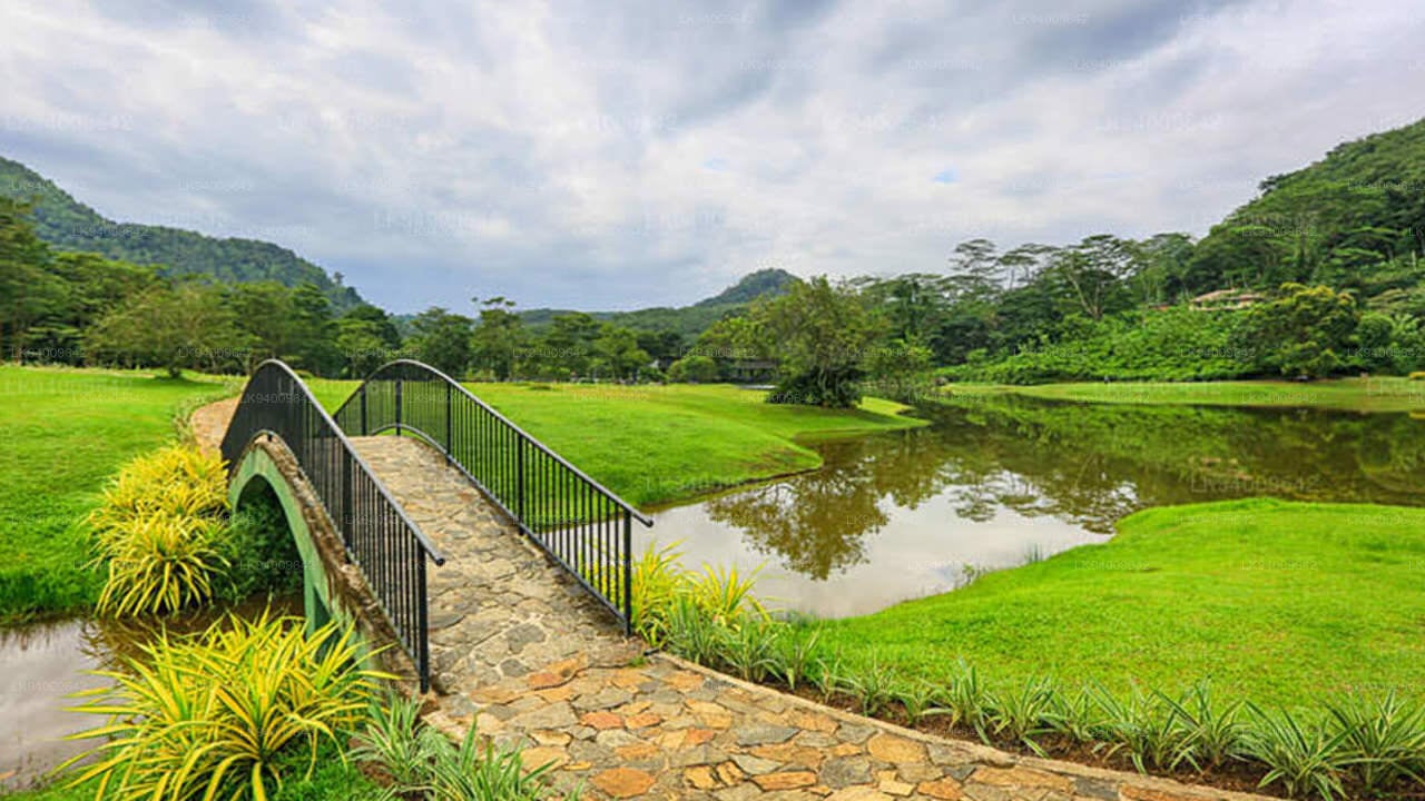 Seethawaka Garden