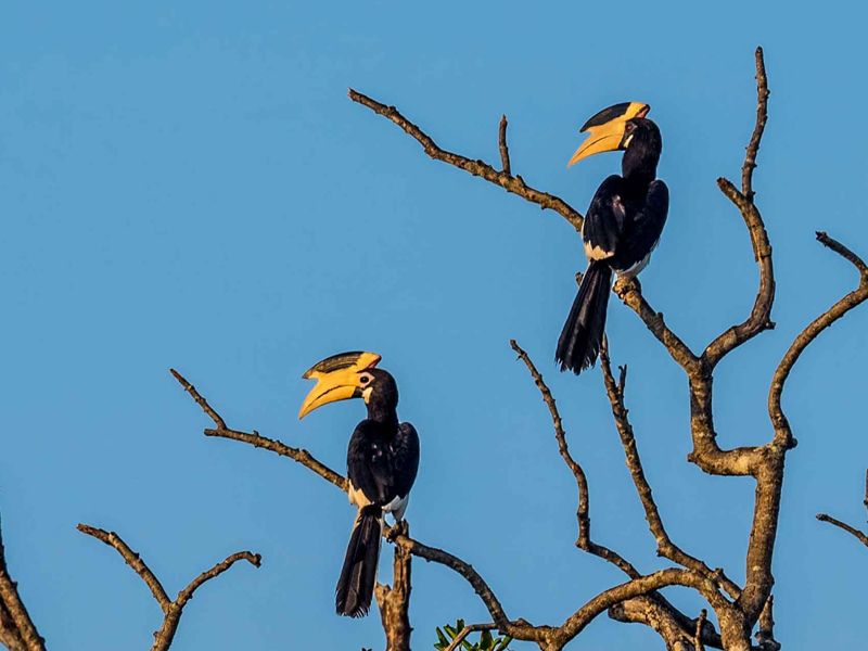 Kumana National Park