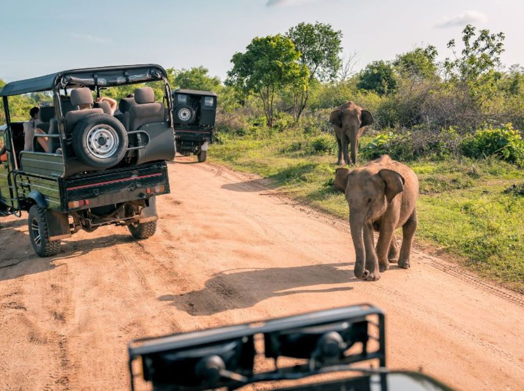 Kaudulla National Park
